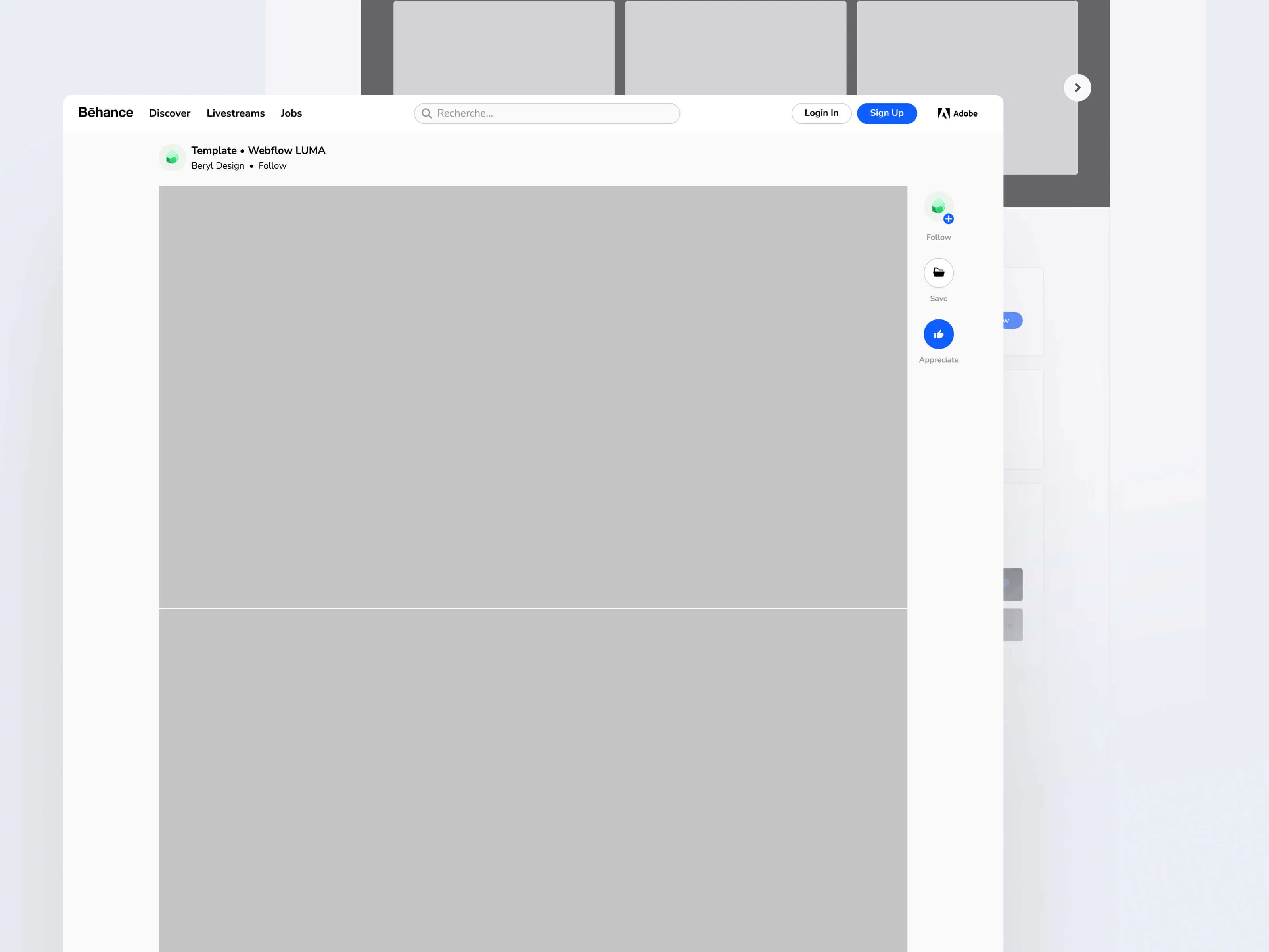 Behance Project Template Mockup