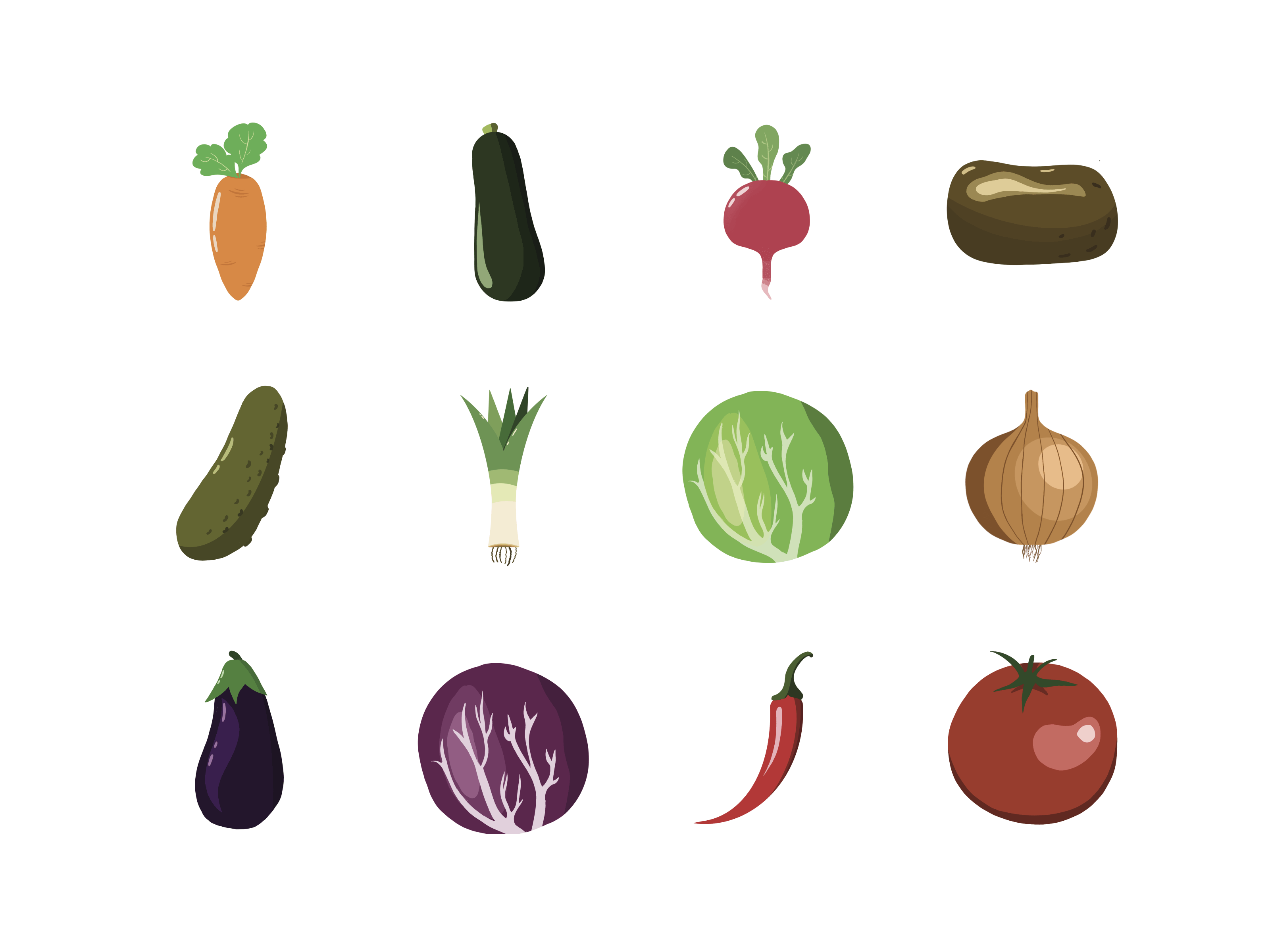 Vegetable Illustration Pack